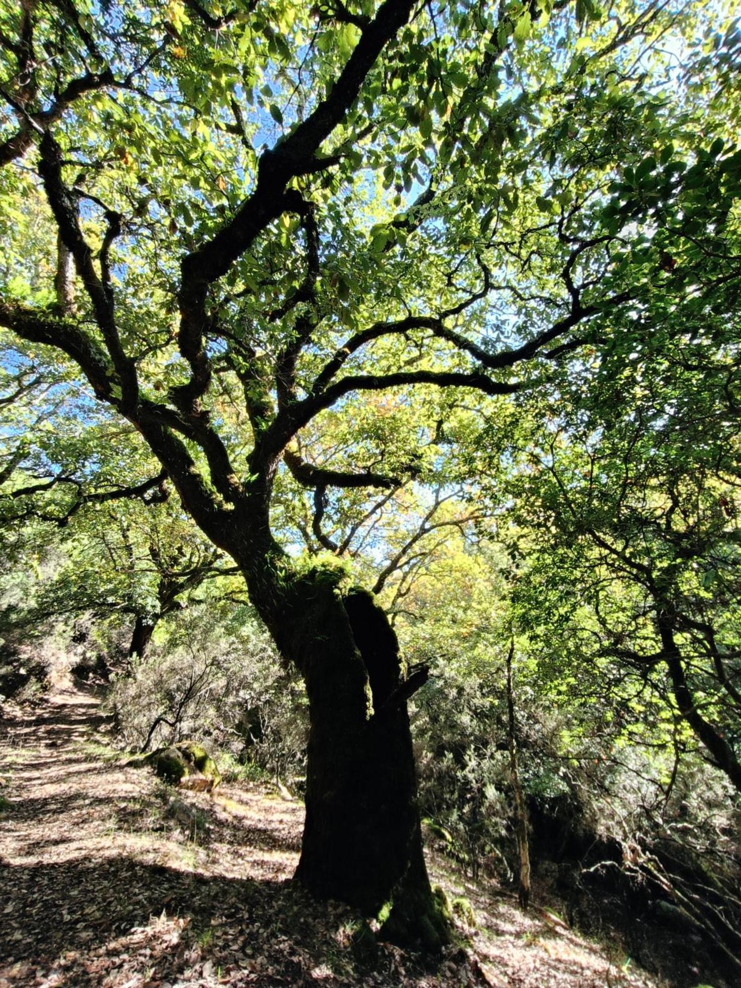 Casa El Cerro